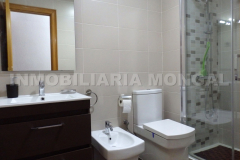 PM1501-19