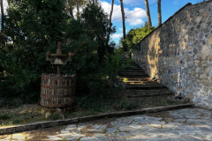 WhatsApp-Image-2026-01-09-at-20.34.40