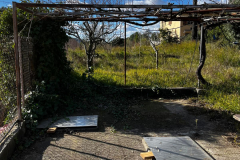 WhatsApp-Image-2026-01-09-at-20.34.44-3