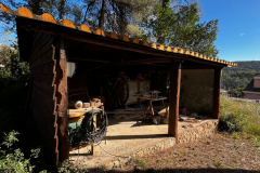 WhatsApp-Image-2026-01-09-at-20.34.45-1