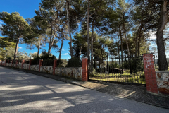 WhatsApp-Image-2026-01-09-at-20.34.45-11