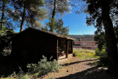 WhatsApp-Image-2026-01-09-at-20.34.45-3