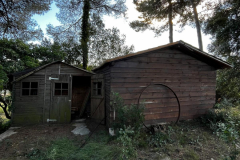 WhatsApp-Image-2026-01-09-at-20.34.45-5