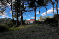 WhatsApp-Image-2026-01-09-at-20.34.45-6