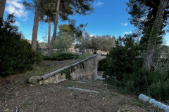 WhatsApp-Image-2026-01-09-at-20.34.45-7