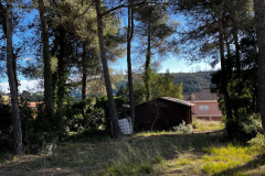 WhatsApp-Image-2026-01-09-at-20.34.45-9